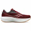 Saucony Men's Triumph 21 In Sundown/linen In Multi