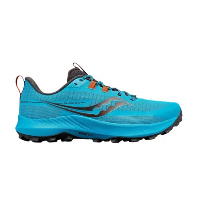 Pre-owned Saucony Peregrine 13 'agave Basalt' In Blue