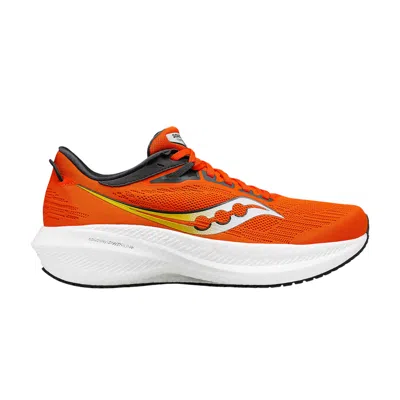 Pre-owned Saucony Triumph 21 'pepper Shadow' In Orange