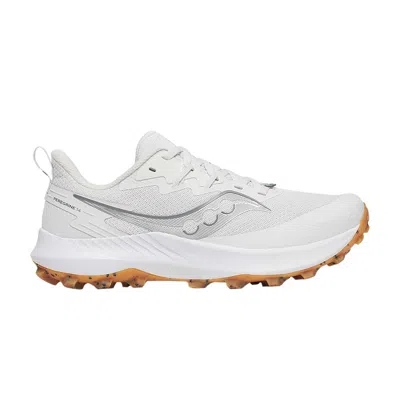 Pre-owned Saucony Wmns Peregrine 14 'fog Gum' | White | Women's Size 12