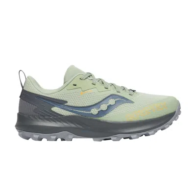 Pre-owned Saucony Wmns Peregrine 14 Gore-tex 'sage Carbon' In Green