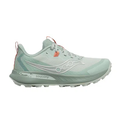 Pre-owned Saucony Wmns Peregrine 15 'mist Aloe' | Green | Women's Size 12