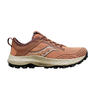 Pre-owned Saucony Wmns Peregrine Rfg 'clove' In Brown