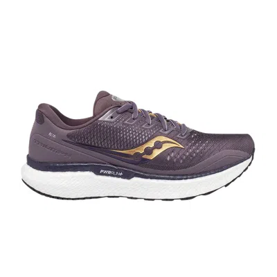 Pre-owned Saucony Wmns Triumph 18 'dusk Gold' In Purple