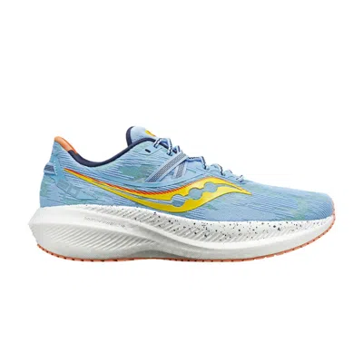 Pre-owned Saucony Wmns Triumph 20 'ether' In Blue