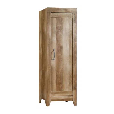 Sauder Adept Storage Storage Cabinet, Craftsman Oak Finish In Brown