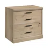 Sauder Aspen Post Commercial Office File Cabinet, Prime Oak Finish In Neutral