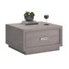 Sauder Hayes Garden Coffee Table, Ashen Oak Finish
