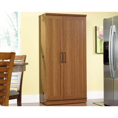 Sauder Homeplus Storage Cabinet Soa In Walnut