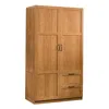 Sauder Miscellaneous Storage Storage Armoire, Highland Oak Finish In Brown