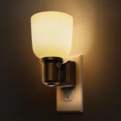 Sauder Rustic Farmhouse Vintage Plug-in Night Light, Dimmable 0-100lm 3000k Warm White & Dusk-to-dawn Senso