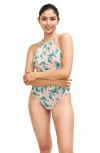 Sauipe Denise High Neck One Piece Swimsuit In Cactus Print