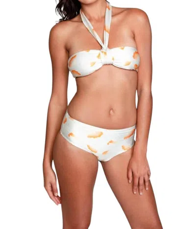 Sauipe Serena Hipster Bikini Bottom In Ginkgo Ivory In Multi