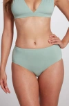 Sauipe Serena Hipster Bikini Bottom In Sage Green