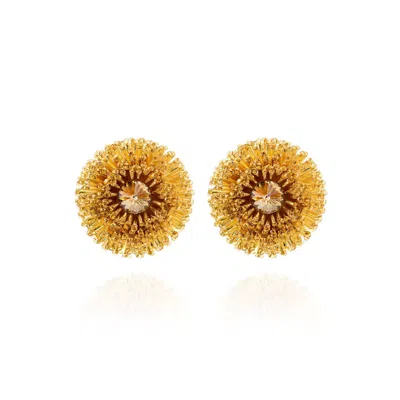 Saule Label Women's Gold Chiara Clip On Earrings In Maize Burst