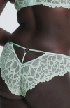 Savage X Fenty Savage Not Sorry Lace Cheeky Panties In Gray