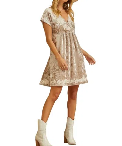 Savanna Jane Velvet Embroidered Mini Dress - Plus In Oyster In White