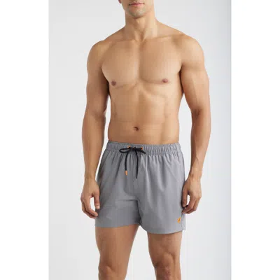 Save The Duck Ademir Swim Trunks In Gray