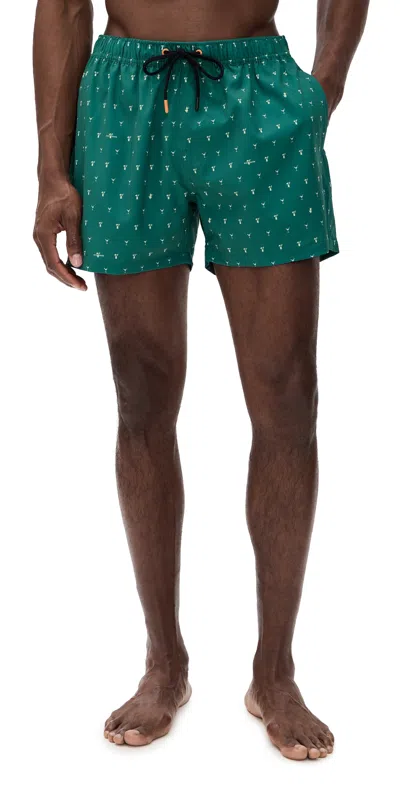 Save The Duck Ademir Swim Trunks Cocktails/eco Diver In Green