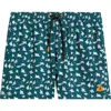 Save The Duck Ademir Swim Trunks In Green