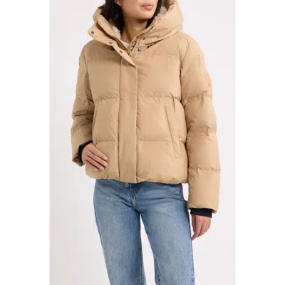 Save The Duck Alaska Water Resistant Puffer Jacket In Brown