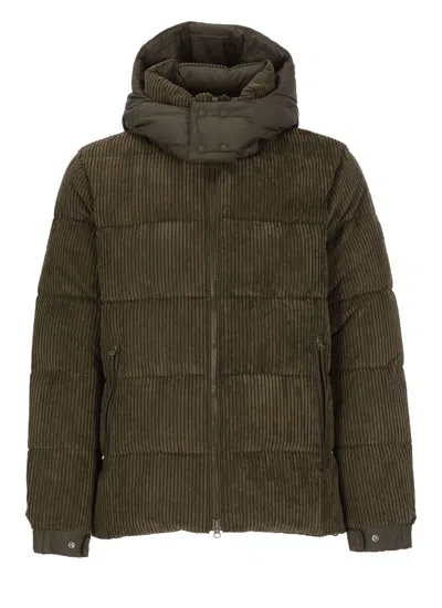 Save The Duck Albus Padded Short Jacket In Green