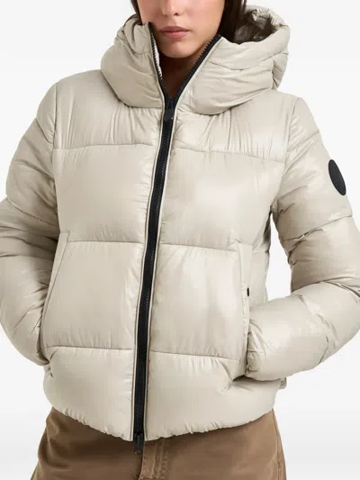 Save The Duck Biddy Quilted Puffer Coat In Neutrals