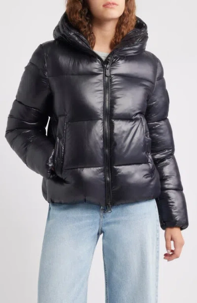 Save The Duck Biddy Water Repellent Hooded Puffer Jacket In Black