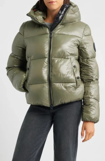 Save The Duck Biddy Water Repellent Hooded Puffer Jacket In Green
