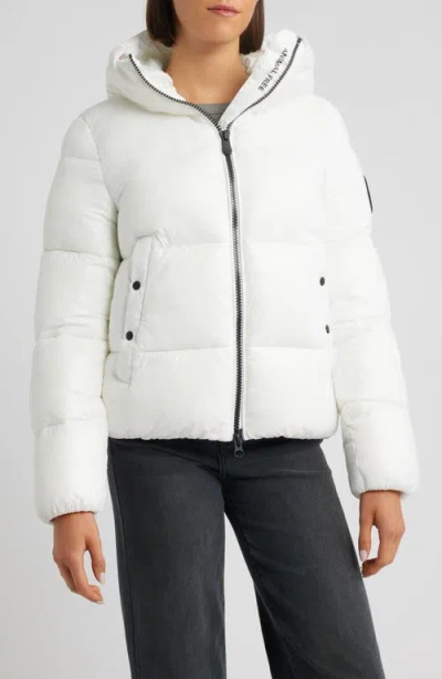Save The Duck Biddy Water Repellent Hooded Puffer Jacket In White