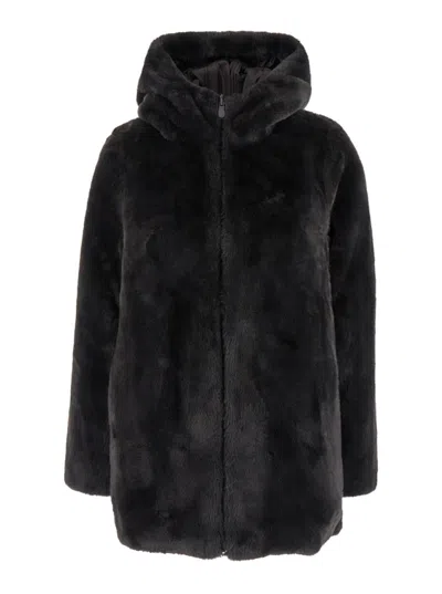 Save The Duck 'bridget' Brown Hooded Down Jacket