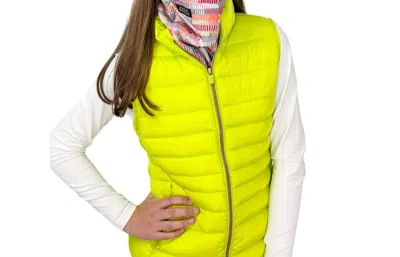 Save The Duck Charlotte Puffer Vest Iris In Lichen Green In Multi