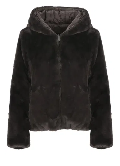 Save The Duck Coats Brown In Black