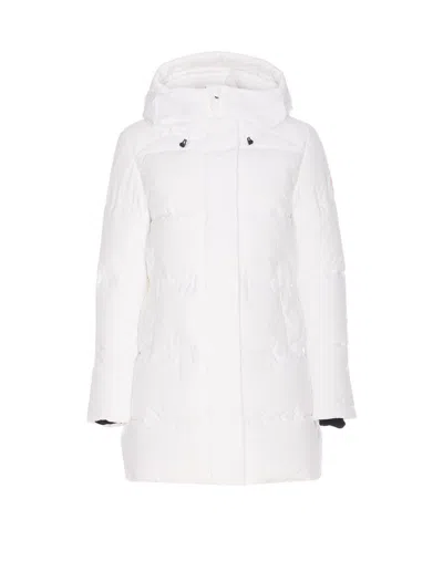 Save The Duck Coatsjackets In Multi