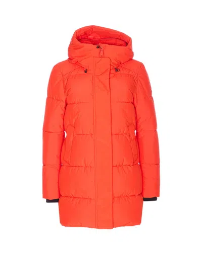 Save The Duck Coatsjackets In Orange
