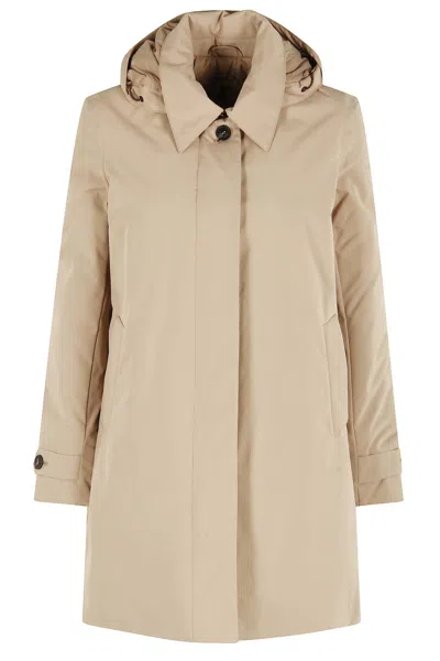 Save The Duck Embie In Brown