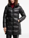 Save The Duck Hooded Padded Jacket In Black