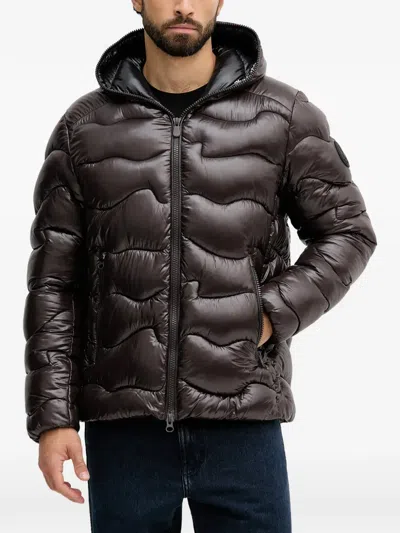 Save The Duck Hooded Padded Jacket In Brown
