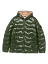Save The Duck Hooded Padded Jacket In Green