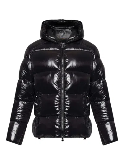 Save The Duck Hooded Puffer Jacket In Black