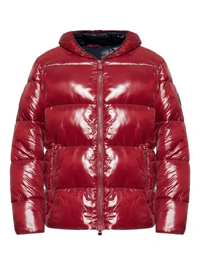 Save The Duck Hooded Puffer Jacket In Burgundy