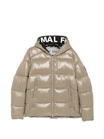 Save The Duck Hooded Quilted Jacket In Neutral