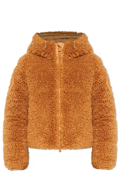 SAVE THE DUCK SAVE THE DUCK INSULATED JACKET DADA