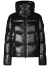 Save The Duck Moma Padded Short Jacket In Black