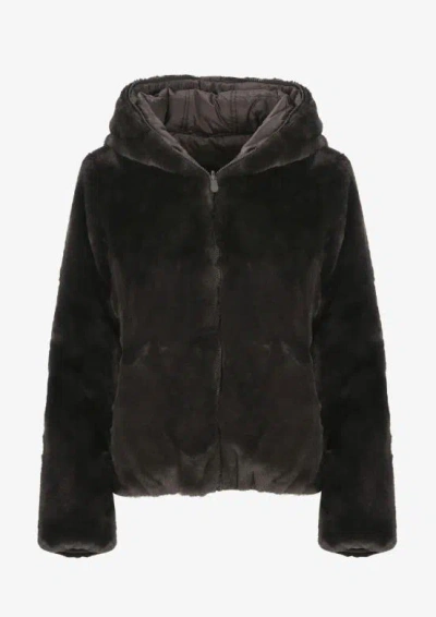 Save The Duck Jackets In Brown