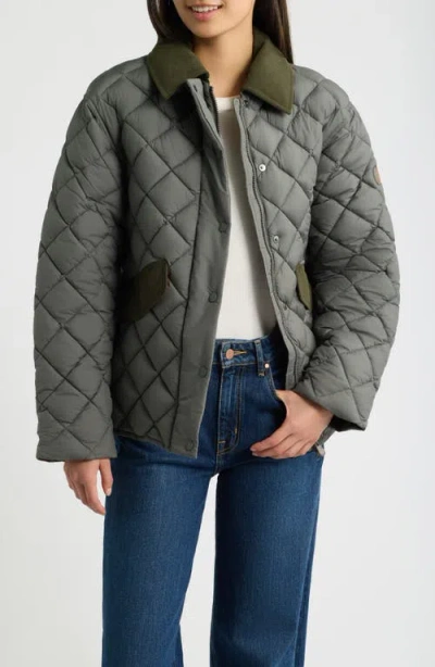 Save The Duck Quilted Corduroy-collar Jacket In Green