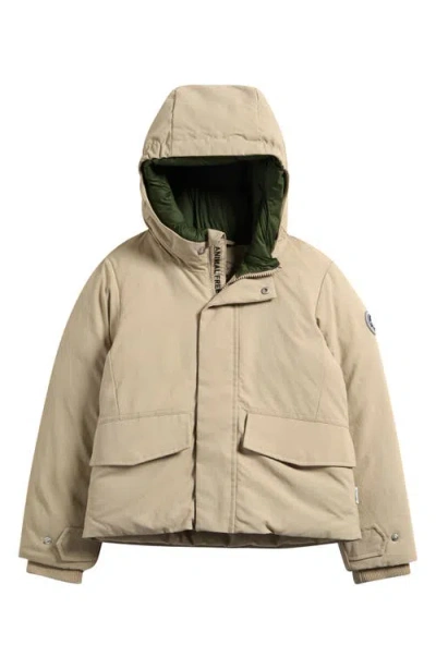 Save The Duck Kids' Benj Hooded Jacket In Neutral