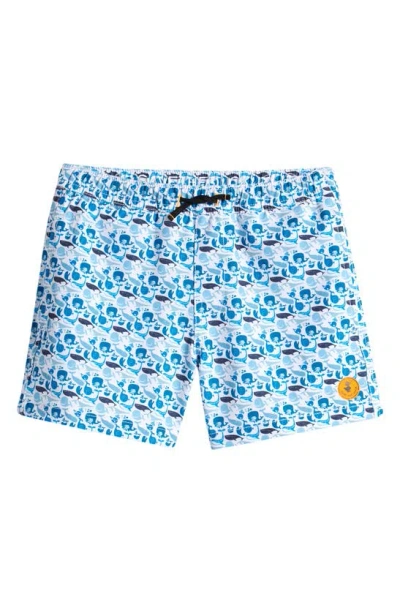 Save The Duck Kids Getu Swim Trunks In Whales