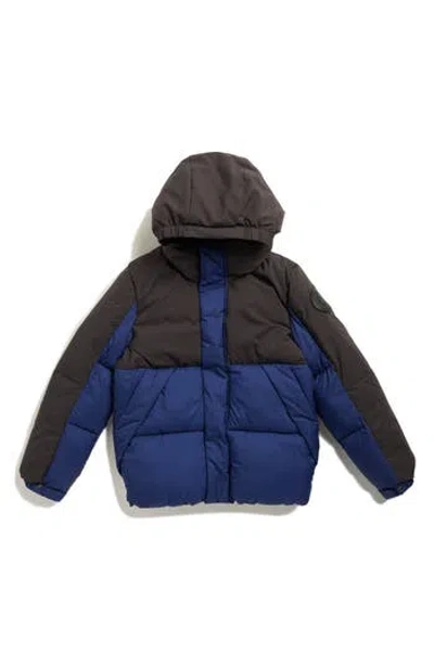 Save The Duck Kids' Otto Hooded Puffer Jacket In Multi