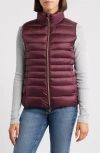 Save The Duck Lynn Quilted Puffer Vest In Brown